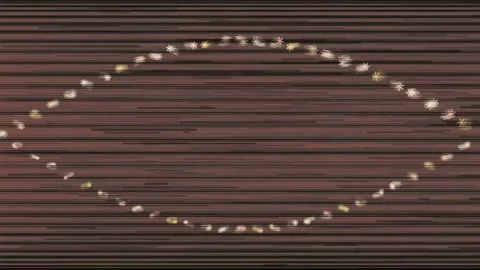 Abstract Particle Loop with Glowing Shapes Moving on a Dark Textured Background Stock-Footage 334821735