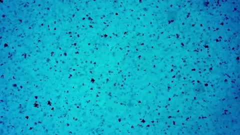 Abstract particle motion on vibrant teal gradient. Dynamic microscopic texture w 库存影片 340456611
