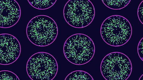 Abstract particle network pattern in circular frames, futuristic technology Stock Footage 330056323