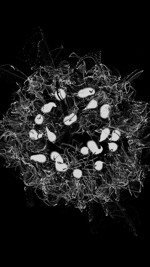 Abstract particle trails flowing from glowing orbs on a black background Stock Footage 342279766