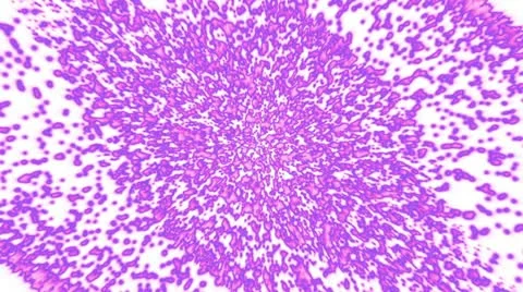 Abstract Particles 001 - Purple On White - 24 fps Stock Footage 20740862