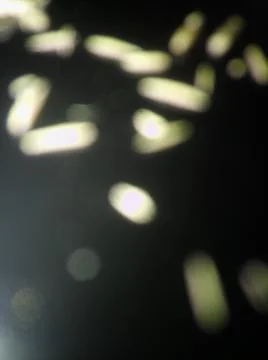 Abstract particles in black background with different elements in blurry effe Stock Photos