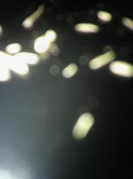 Abstract particles in black background with different elements in blurry effe Stock Photos