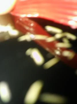 Abstract particles in black background with different elements in blurry effe Stock Photos