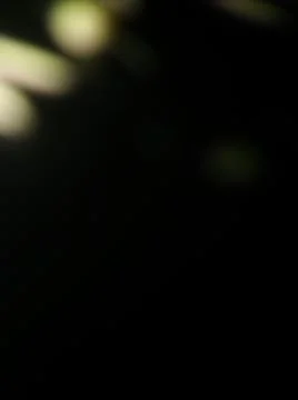 Abstract particles in black background with different elements in blurry effe Foto stock