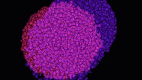 Abstract Particles Dissolving into Light with Cinematic Motion and Soft Focus Stock Footage 342522048