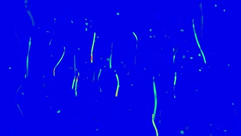 Abstract particles floating against vibrant red blue and yellow backgrounds in Stock Footage 345218071
