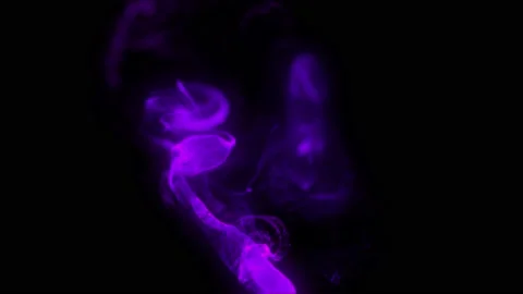 Abstract Particles Fluid Energy Background Video slow motion Stock Footage 165325259