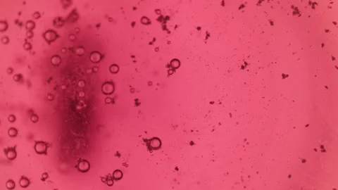 Abstract particles Stock Footage 289439292