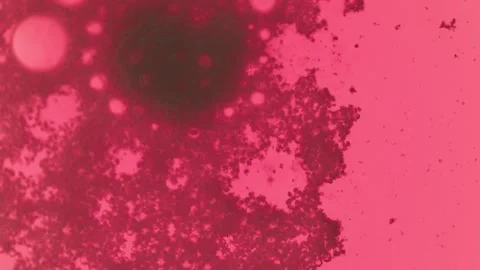 Abstract particles 스톡 동영상 289439566