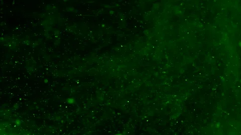 Abstract particles of green liquid flow and float motion on black Stock Footage 138593501