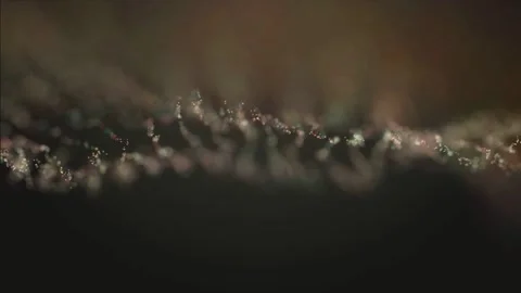 Abstract particles moving in space Video stock 257689042