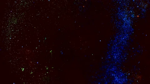 Abstract particles in multicolor liquid flow and float motion on black Stock Footage 138594141