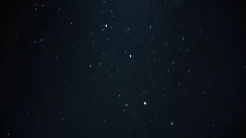 Abstract Particles Overlay – Glowing Light Dust Effect Video stock 316413604