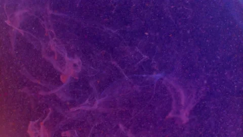 Abstract particles of purple liquid flow and float motion on black Vidéo 138592348