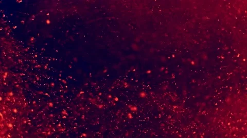 Abstract particles of red and orange liquid flow and float motion on black Video stock 138592178
