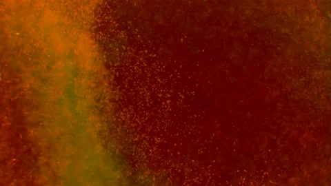 Abstract particles of red and orange liquid flow and float motion on black Stock Footage 138593259