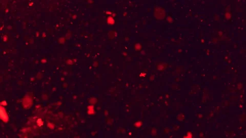 Abstract particles of red and orange liquid flow and float motion on black Stock Footage 138594487