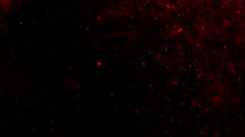 Abstract particles of red and orange liquid flow and float motion on black Stock Footage 138595283