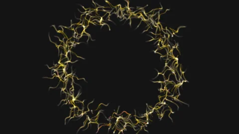 Abstract particles round circle background animation Video stock 209156807