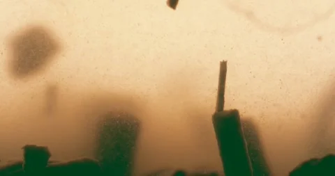 Abstract Particles Suspended in a Murky Liquid Stock Footage 274955329