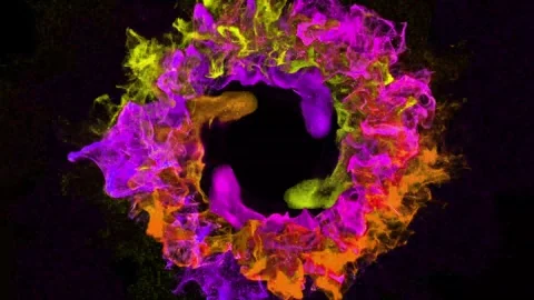 Abstract Particles Swirls Dynamic Glowing Dust Loop 4K UHD Video Footage Stock Footage 344014692