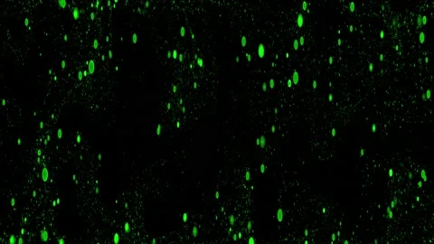 Abstract Particles Widescreen Background Green Stock Footage 201312865