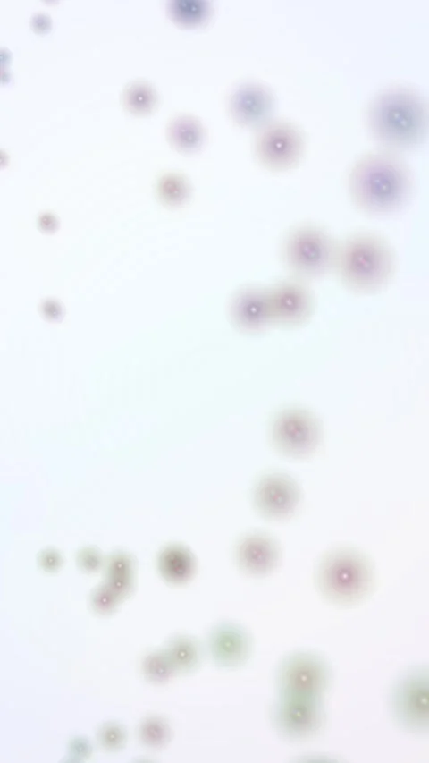 Abstract pastel bokeh overlay falling glitter particles background animation Stock Footage 345491725
