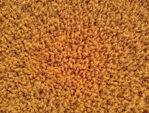 Abstract pattern from above Stock Photos