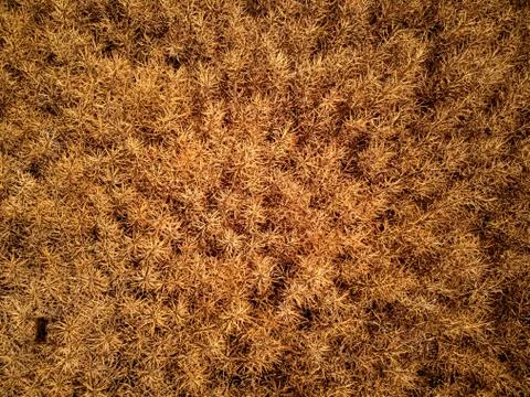 Abstract pattern from above Stock Photos