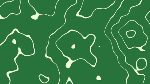 Abstract pattern animal print camouflage cam black stars shapes fabric green Stock Footage 335696101