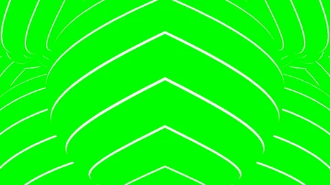 Abstract pattern animation on green background Stockbeeldmateriaal 255511733