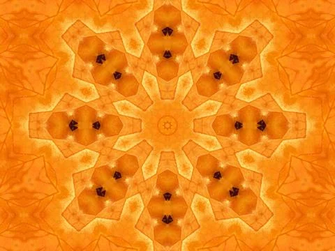 Abstract pattern from autumn leaf Background with abstract pattern from na... 스톡 사진