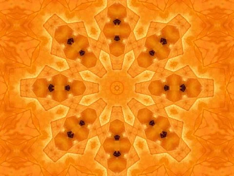 Abstract pattern from autumn leaf Illustrazione stock