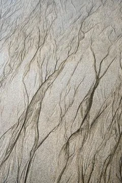 Abstract pattern background with a dendritic appearance Stock Photos