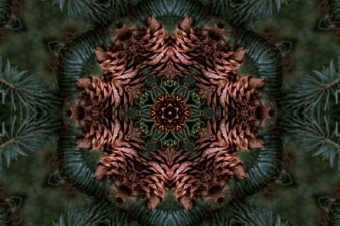 Abstract pattern background made of pine cones and green branches Stock Photos