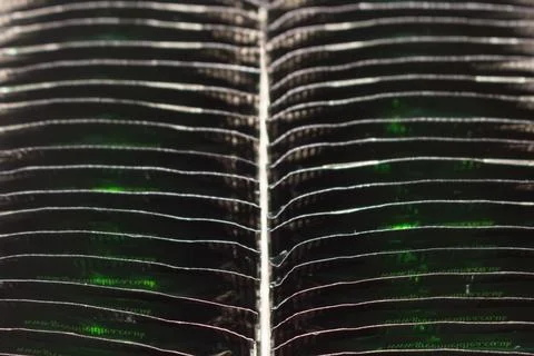 Abstract pattern of black glossy pharmaceutical blister packs with green Stock Photos