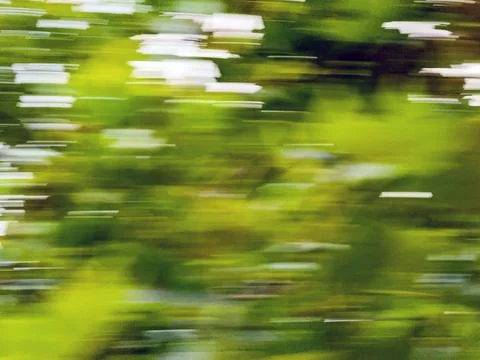 Abstract pattern of blurred motion trees Foto stock