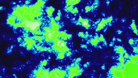 Abstract Pattern with Bright Green and Blue Colors Vídeo Stock 340412567