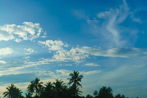 Abstract pattern from a cloud on the sky against the background of palm trees 写真素材