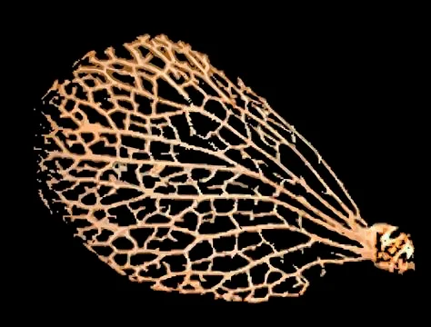 Abstract pattern with cobwebs bushy leaf tropical plants Illustrazione stock