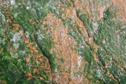 Abstract pattern of colorful algae in hot geyser runoff, Yellowstone N.P. Stock Photos