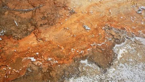 Abstract pattern of colorful algae in hot geyser runoff, Yellowstone N.P. Stock Photos