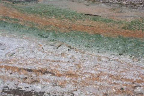 Abstract pattern of colorful algae in hot geyser runoff, Yellowstone N.P. Stock Photos