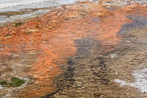 Abstract pattern of colorful algae in hot geyser runoff, Yellowstone N.P. Stock Photos