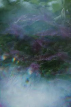 Abstract Pattern created with Clematis Flower Stock Photos