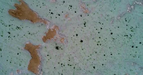 Abstract pattern created by nature Stock Photos