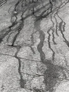 Abstract pattern of dark, winding liquid on cracked pavement Stock Photos