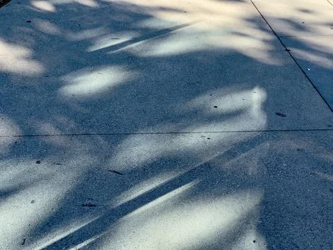 Abstract pattern of delicate tree branch shadows sprawling across concrete Stock Photos
