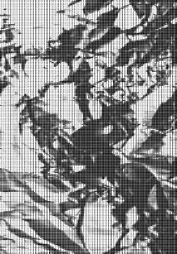 Abstract pattern with dense black dots on white background creating a textur イラスト素材